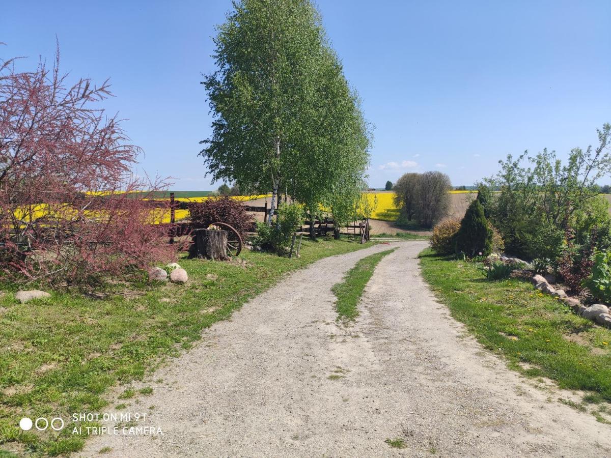 Balkanowka Krasniczyn المظهر الخارجي الصورة