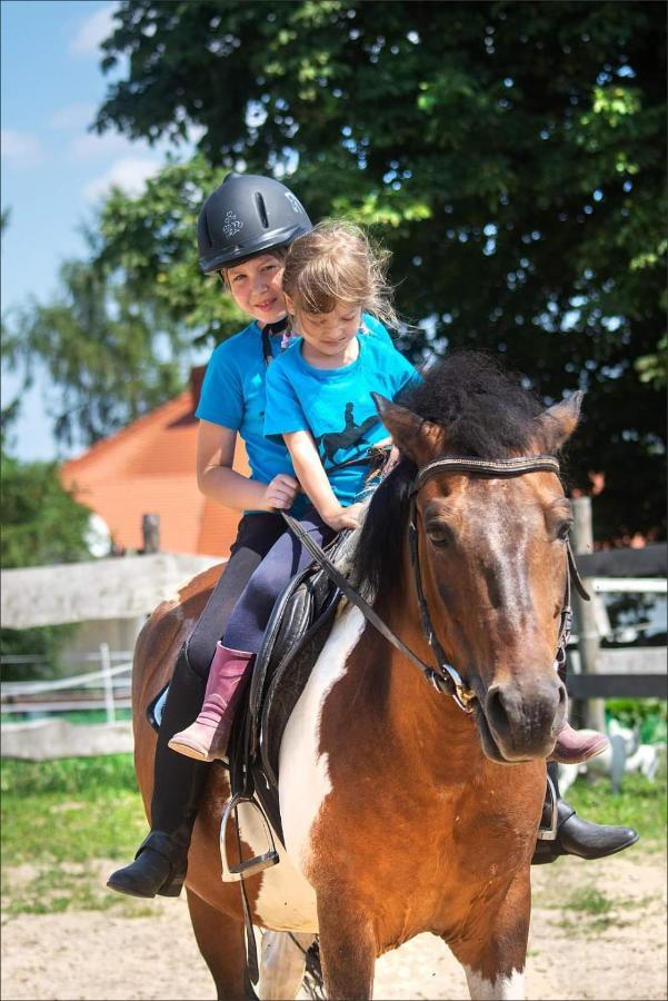 Balkanowka Krasniczyn المظهر الخارجي الصورة